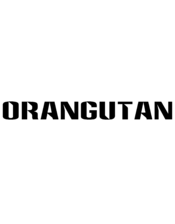 Orangutan