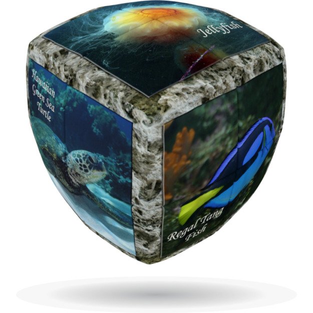 Galvosūkis V-Cube 2 - JŪROS PASAULIS
